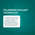 Arctic Personal Air Cooler